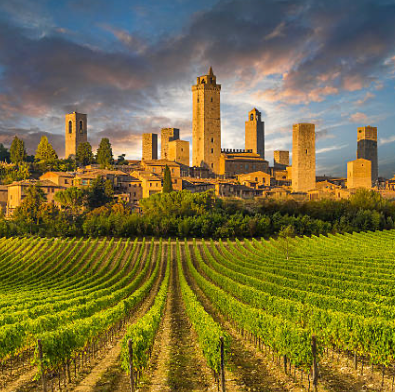 Barbera d' Asti